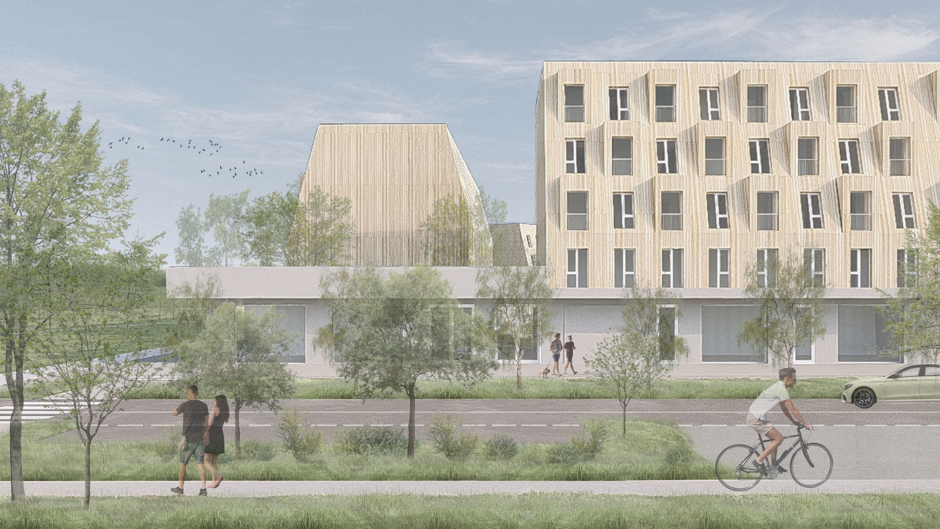 Julia Dziedzic, Wiktoria Ledwoń